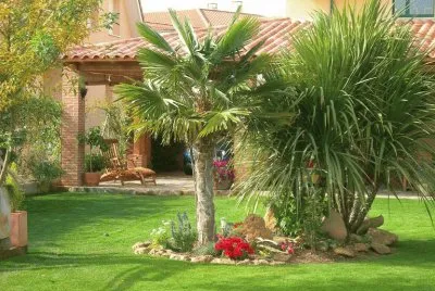 פאזל של jardin