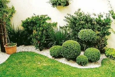 פאזל של jardin