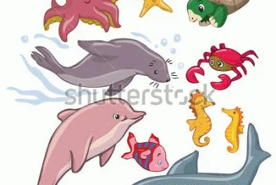 tiburon jigsaw puzzle