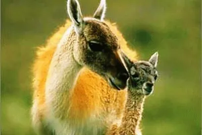 mom#179