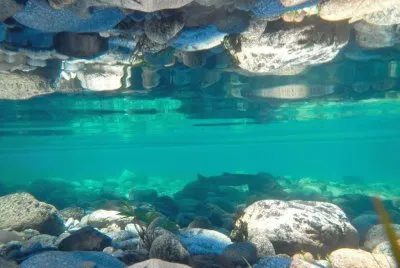 En el Lago Lolog. NeuquÃ©n. Argentina