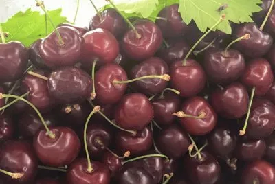 Cerejas