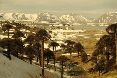 Caviahue. NeuquÃ©n. Argentina