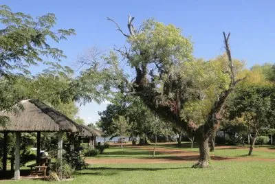 Esteros del IberÃ¡. Corrientes. Argentina
