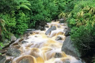 Karamea. Nueva Zelanda
