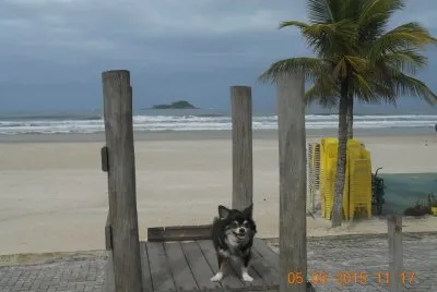 Nick no escorregador da Praia em GuarujÃ¡ - SP