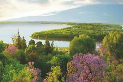 Diamante. Entre RÃ­os. Argentina