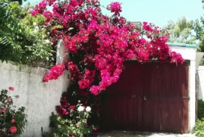 santa risa abrazando casa