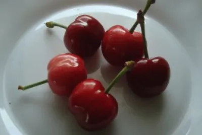 cerezas