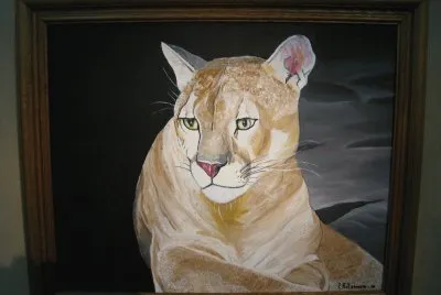 PUMA jigsaw puzzle