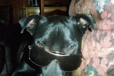 negra