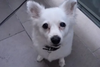 Tango