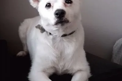 Tango cara de nada