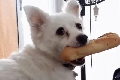 Tango se robo un pan