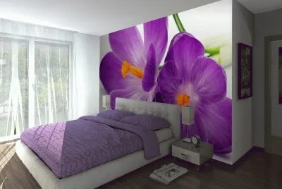 bella habitacion