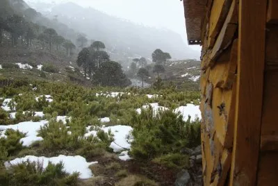 Paso Pino Hachado. NeuquÃ©n. Argentina