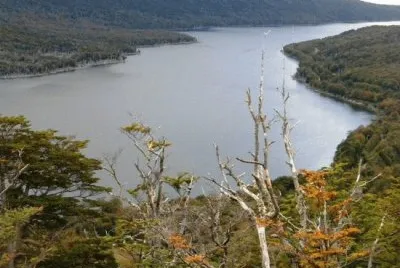 Lago Escondido. Tierra del Fuego. Argentina