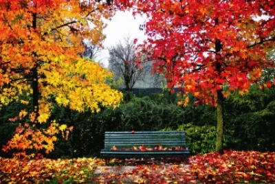 Natureza