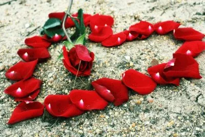 corazon con petalos de rosas