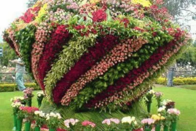 imagen dibujo con flores