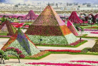 piramides con flores