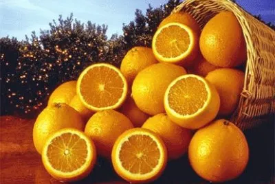 canasto de naranjas