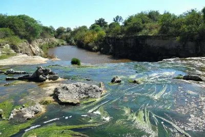 En Diamante. Entre RÃ­os. Argentina