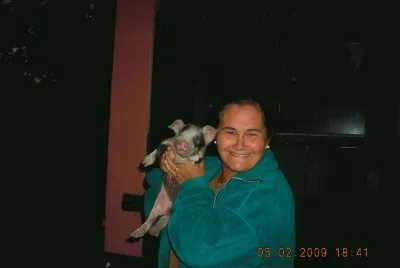 CHANCHITO jigsaw puzzle