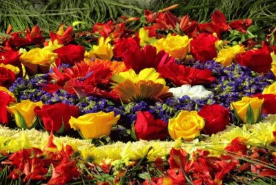 alfombra de flores1