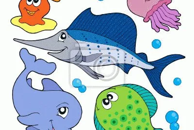 delfin jigsaw puzzle