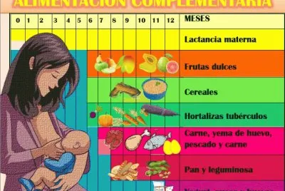 ALIMENTACIÃ“N COMPLEMENTARIA 2 jigsaw puzzle