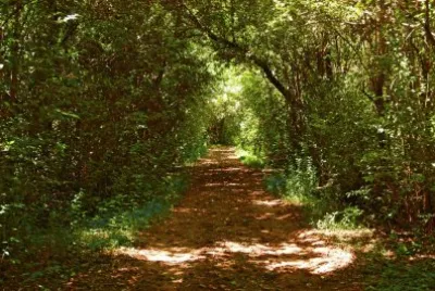 En Ascochinga. CÃ³rdoba. Argentina