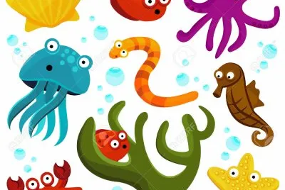 pulpo jigsaw puzzle