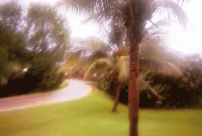 פאזל של naturaleza