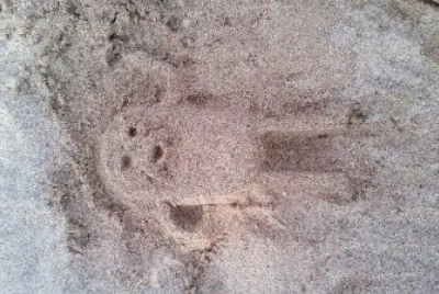 פאזל של Flora-bug