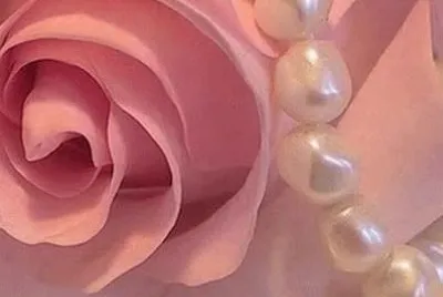 rosas