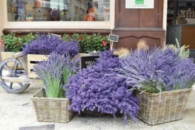 פאזל של Provence