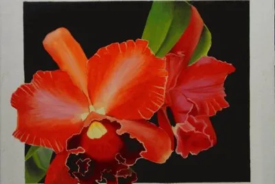 orquÃ­dea