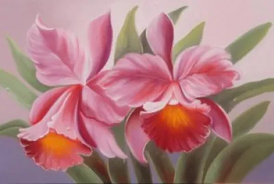 orquidea