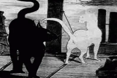 71