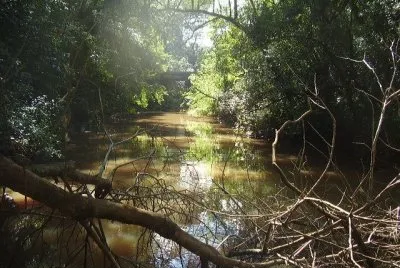 Cerca de Puerto Canoas. Misiones. Argentina