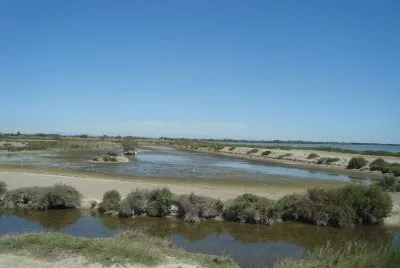 camargue