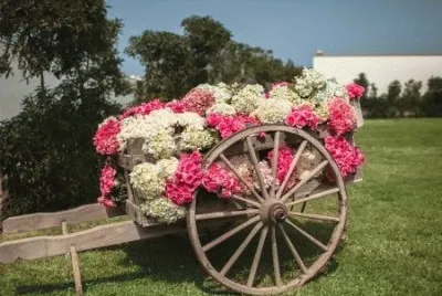 carreta con flores1