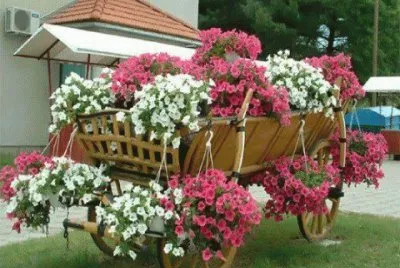 carretas con flores 2