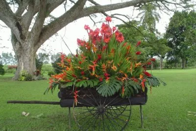 carreta con flores 4