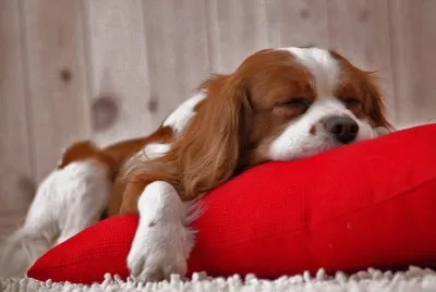 relax