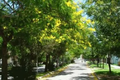La Paz. Entre RÃ­os. Argentina
