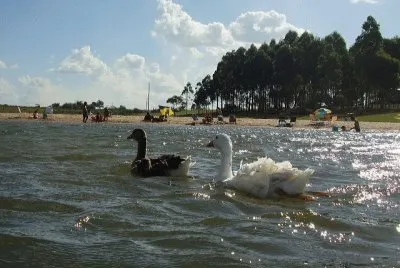 El ParanÃ¡ en ItuzaingÃ³. Corrientes. Argentina