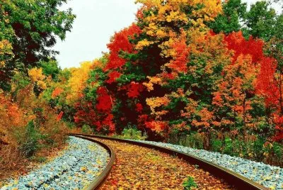 פאזל של NÂº 1148