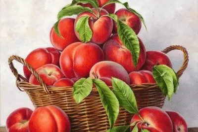 Peaches in a Basket